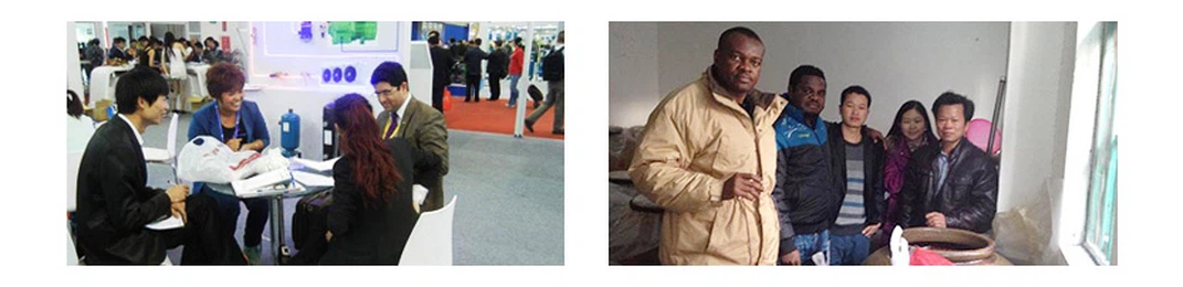 Oligopeptide P11-4 peptide Oligopeptide P11-4 peptide